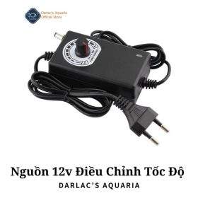 Nguồn 12v điều tốc