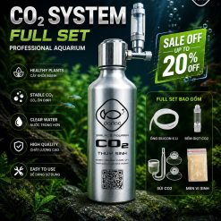 Bình CO2 Nhôm - Bình CO2 thủy sinh chế đầy đủ phụ kiện - Aluminum CO2 Darlac's Aquria DIY
