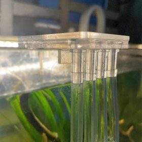 Kẹp ống Dosing